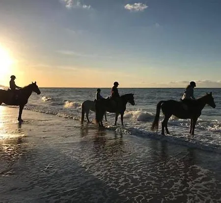 La Tranquilite Nocleg ze śniadaniem Beuzeville